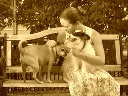 Sepia photo of the girl with the dogs