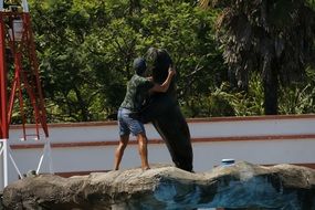 man hugging with sea lion