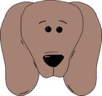 brown domestic dogs face