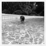 girl swimming in pool outdoor