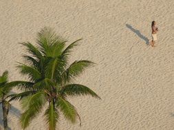 panorama of a sandy beach in brazil