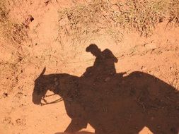 shadow of a rider on the horse