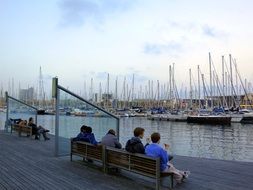 people relaxing on benches looking at sailboats in harbor
