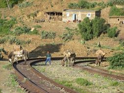 man among railway tracks in italy