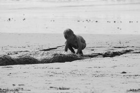 investigating play sand