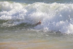 Man playing in good wave