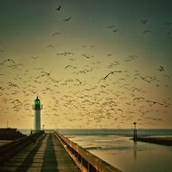 lighthouse and gulls folk