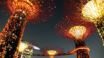 garden by the bay attraction in singapore at night