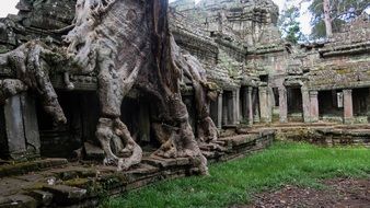 angkor temple complexes in jungle Cambodia