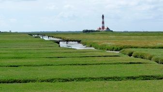 distant view of the lighthouse among salt meadows on the north sea