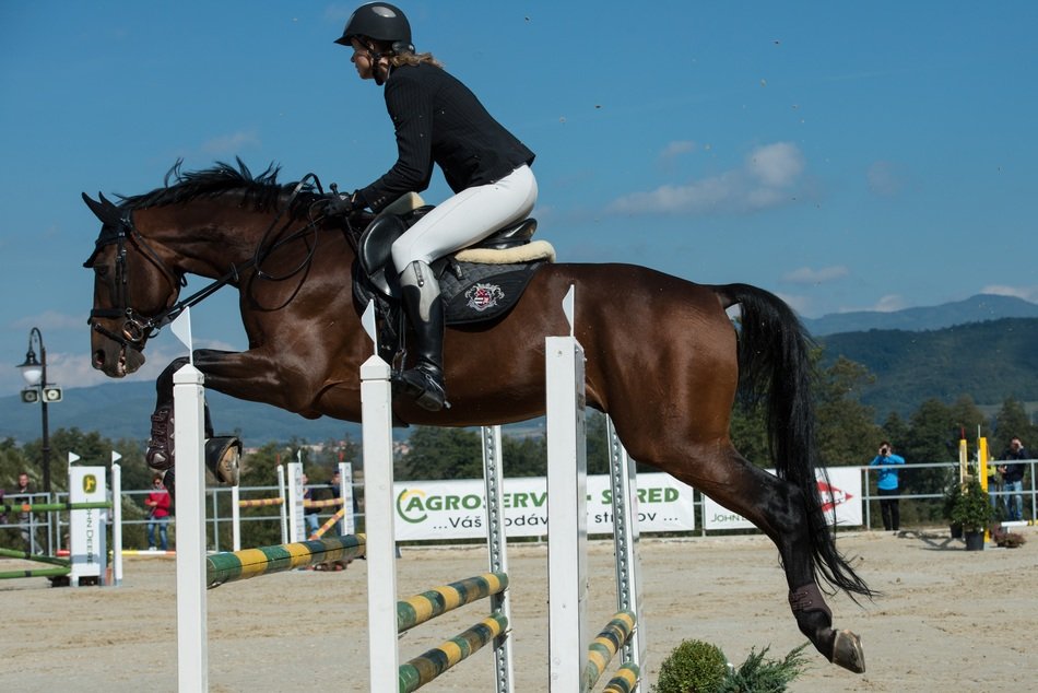jokey jumping horse sunny weather