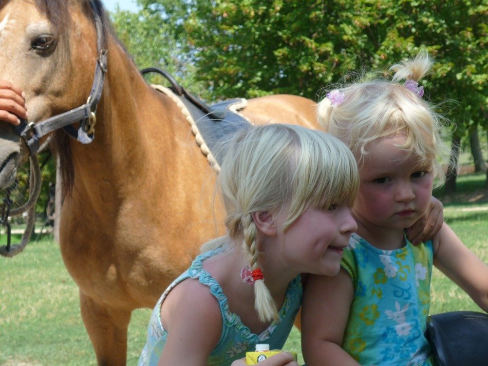 Children near the horse