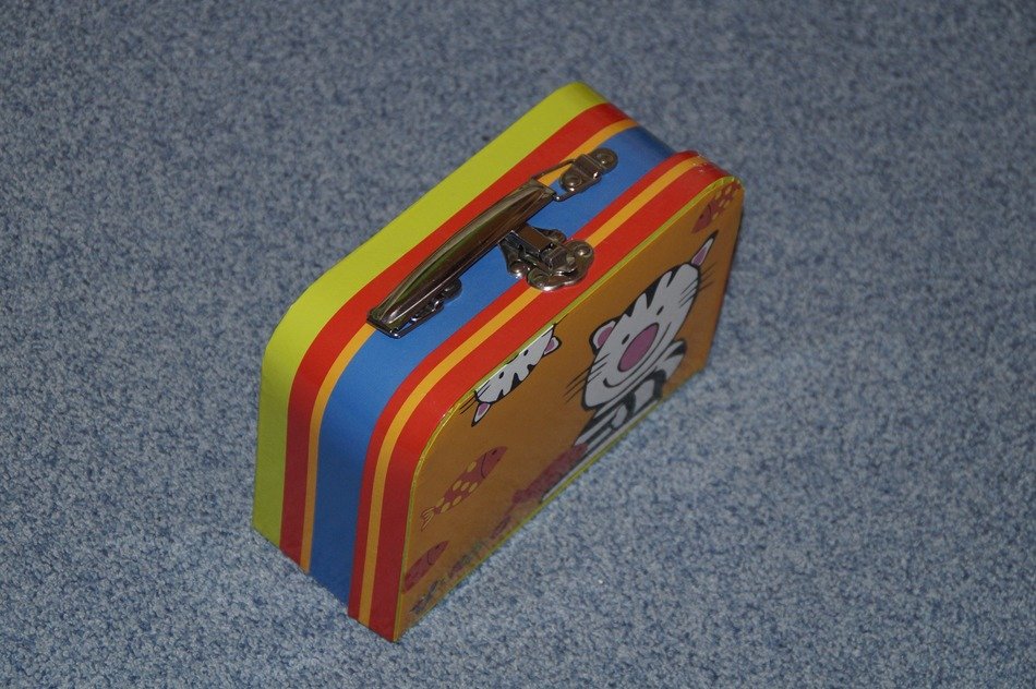 small kids luggage