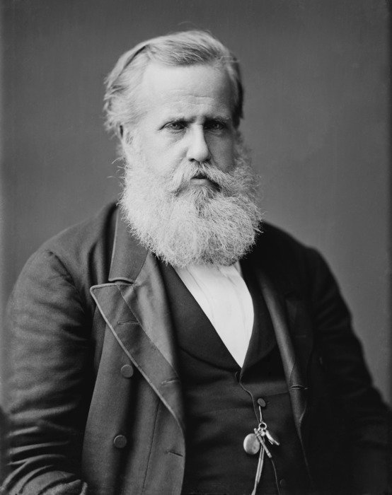 Portrait of Pedro II