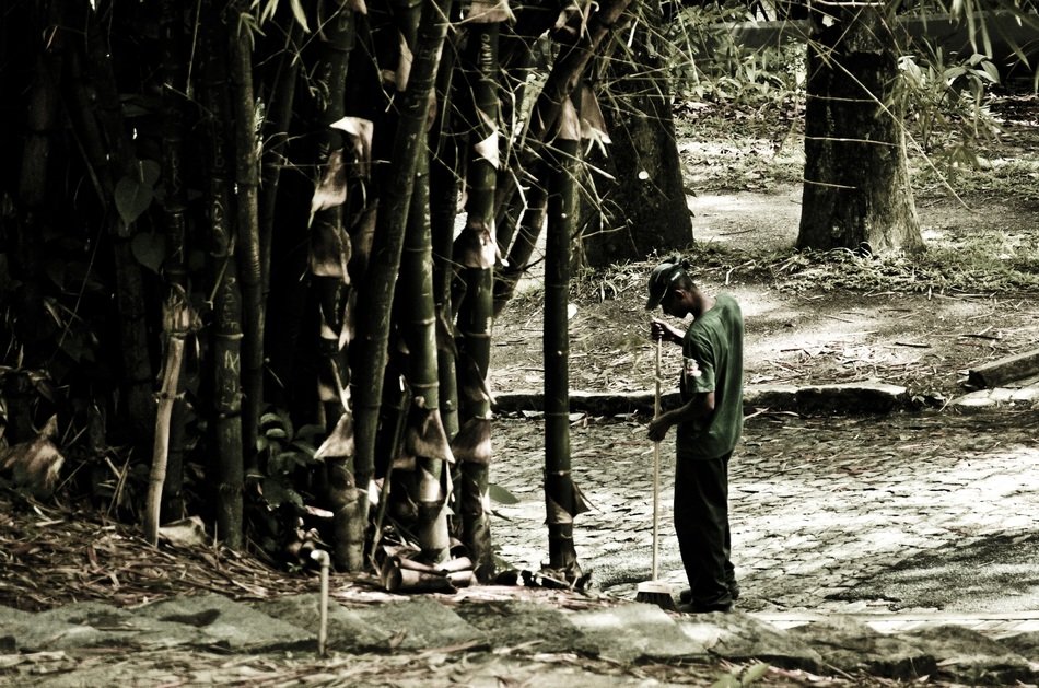 man sweeps near bamboo