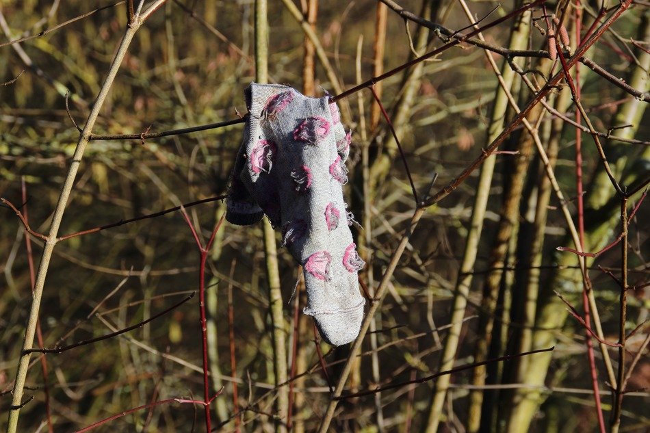 baby sock on a tree branch