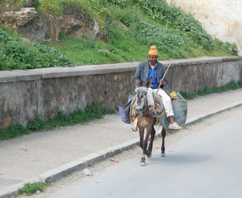 The countryside in Morocco