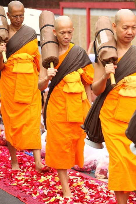 bald monk buddhist on rose petals