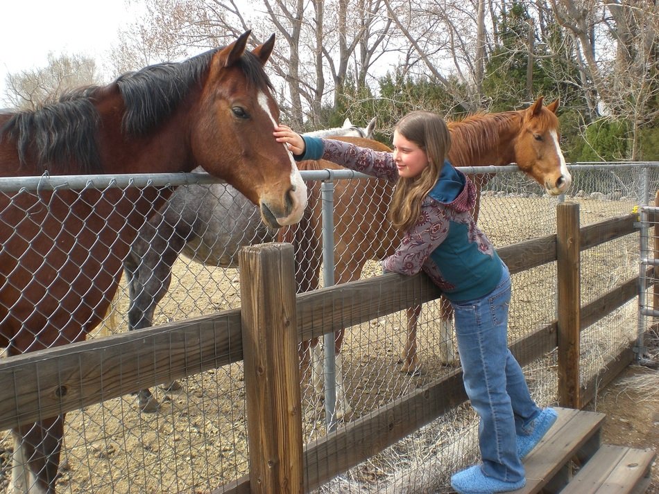 girl near horses