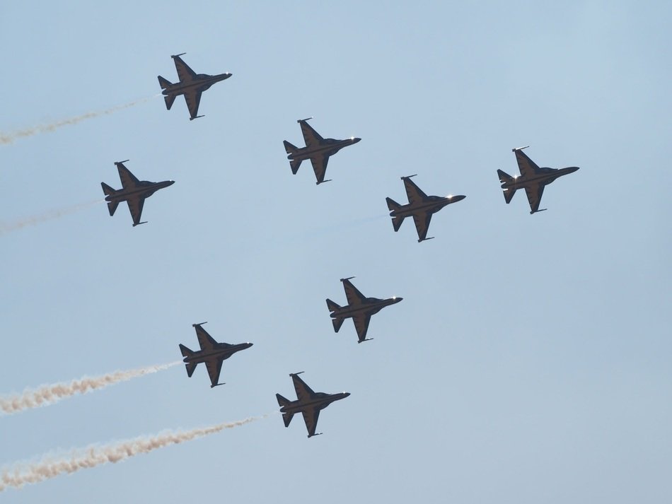 black eagle in the air