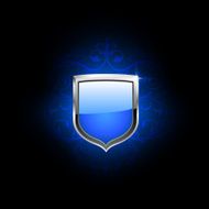 Coat of arms vector N4
