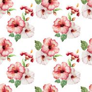hibiscus4
