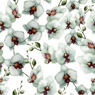 Beautiful orchid flower6