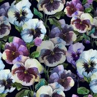 Vector watercolor image1 N2