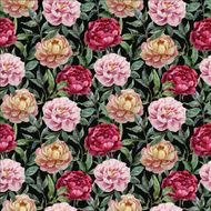 Beautiful vector watercolor pattern with peonies on black fon3