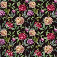 Beautiful vector watercolor pattern with peonies on black fon2