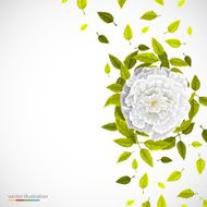 White flower and leafs on bright background