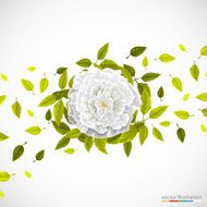 White flower and leafs on bright background N2