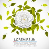 Floral pattern with white flower and leafs