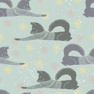 Winter pattern N44