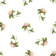 Clover flowers