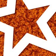 Natural pattern made of green leaves with star frame Vector