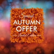 Special autumn offer advertisement poster Blurred background wi