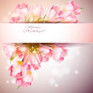 Tulips flowers background