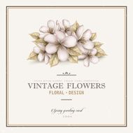 elegant vintage card design