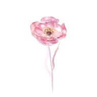 Traced watercolor Rose flower vector
