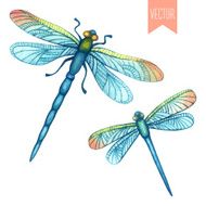 Watercolor set of dragonflies N2