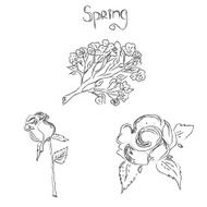 Sketch flowers spring vector illustration N2
