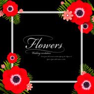 attractive red pansy floral frame