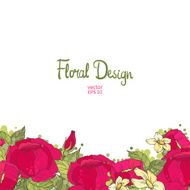 floral frame N117