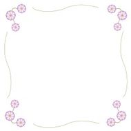 Fuchsia and White Cosmos Flower Frame with Copy Space N2