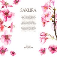 Hand Drawn Cherry Blossoms N2