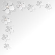 White flowers pearls in the corner on a white background