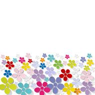 Bouquet of colorful flowers banner on white background