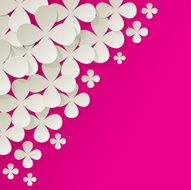 Bouquet of white flowers in the corner on pink background