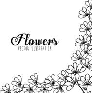 Black and white floral design N7